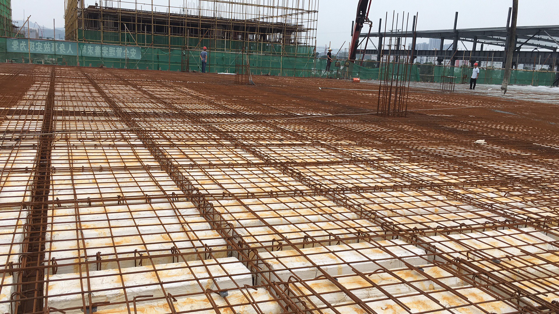 1678981103591978.jpg 75.jpg