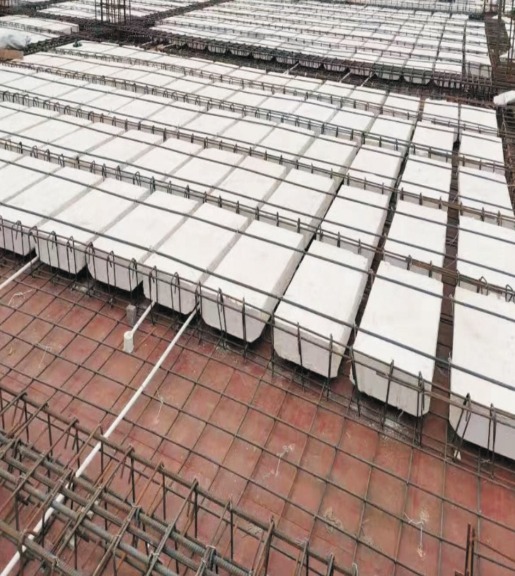 1678981663277104.jpg 金科維拉莊園.jpg